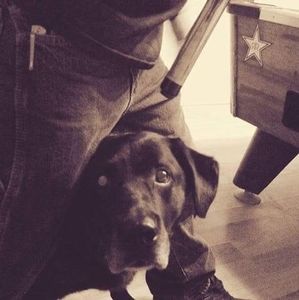 Meet your Posher, Shawn